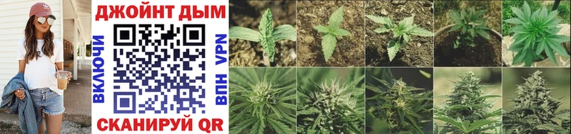 Каннабис Bruce Banner  Изобильный 